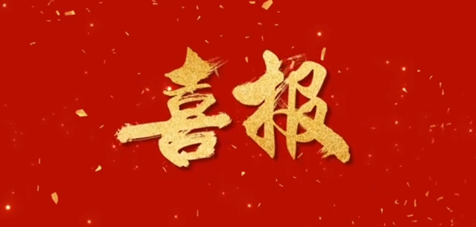 携手合作 引领未来丨热烈庆祝云顶国际官网入口成为海康威视一级代理商